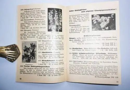 Taschenbuch 1954 für Gartenfreunde Niendorf & Co Quedlinburg ! (H2