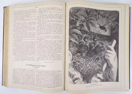 Gartenlaube Illustriertes Familienblatt 1880 kompletter Jahrgang Karl May Leserb