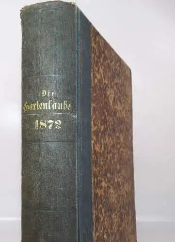 Gartenlaube Illustriertes Familienblatt 1872 kompletter Jahrgang