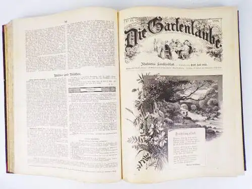 Alte Gartenlaube 1886 vollständiger Jahrgang  Illustriertes Familienblatt