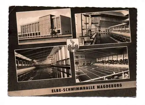 Ak Elbe Schwimmhalle Magdeburg 1963