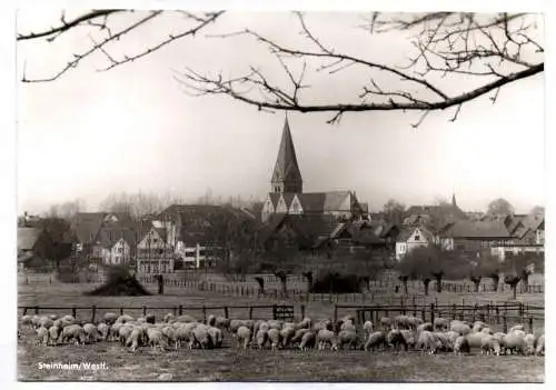 Ak Steinheim Westfalen