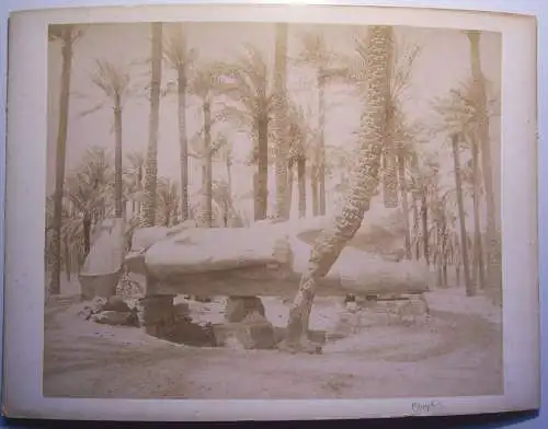 Albumin Foto  Statur Ramses II in Memphis Ägypten egypt 1880 1890