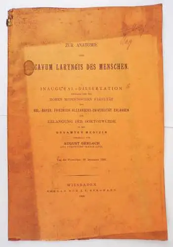 Zur Anatomie Cavum Laryngis des Menschen August Gerlach 1900 Uni Erlangen