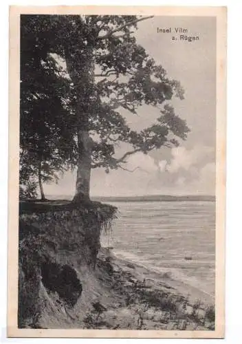 Ak Insel Vilm a. Rügen um 1910