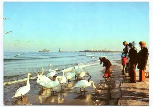 Ak Rostock Warnemünde Winter am Strand 1980