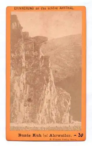 CDV Foto Bunte Kuh bei Ahrweiler  um 1880