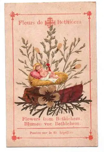 Altes Heiligenbild Blumen von Bethlehem um 1890 Jesus Kind Herbarium