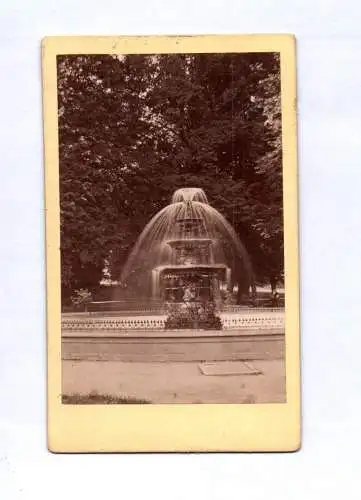 CDV Foto Park in Pyrmont 1877 Brunnen