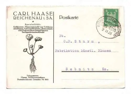 Postkarte Carl Haase Reichenau in Sachsen Erdbeeren Massenzucht 1926