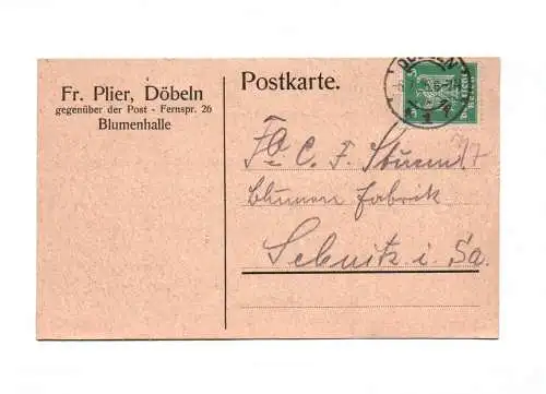 Postkarte Fr. Plier Döbeln Blumenhalle 1925