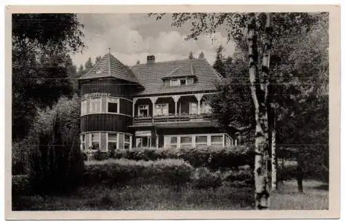 Foto Ak Hotel und Gaststätte Waldkrone Hasselfelde im Harz