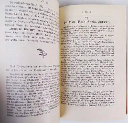 Wald - und Baumkult in Beziehung zur Volksmedizin Oberbayerns 1894