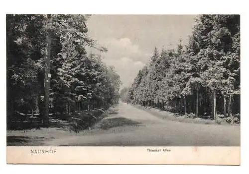 Litho Ak Naunhof bei Leipzig Threnaer Allee 1910