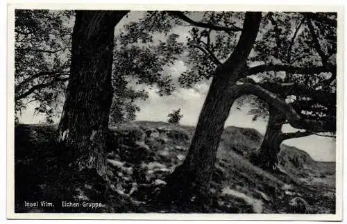 Ak Insel Vilm Eichen Gruppe Putbus