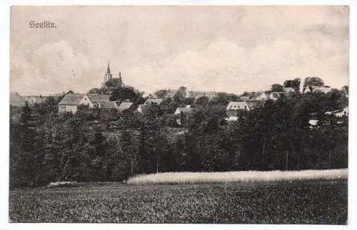 Ak Seelitz 1907 Ortsansicht