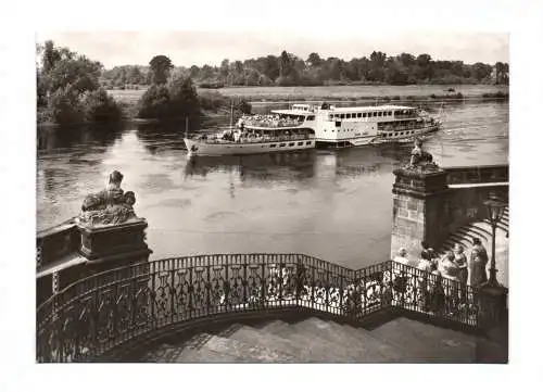Foto Ak Weiße Flotte Luxusmotorschiff Karl Marx vor Schloß Pillnitz 1975