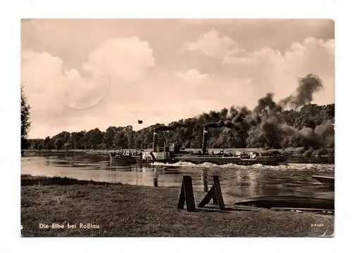 Foto Ak Die Elbe bei Roßlau 1958 Dampfer Schiff