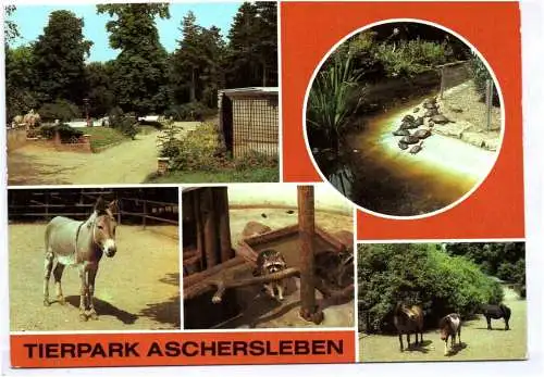 Ak Tierpark Aschersleben 1984