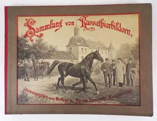 Sammlung von Rassetierbildern Landwirtschaftliche Tierzucht Bunzlau um 1895