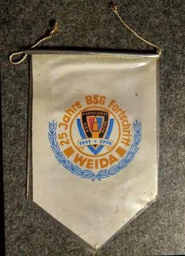 25 Jahre BSG Fortschritt 1951 - 1976 Original Wimpel Weida