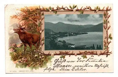 Litho Ak Tegernsee Hirsch geprägt 1902