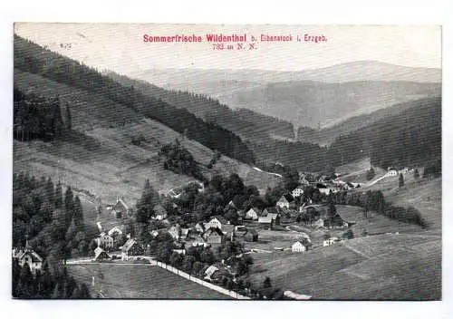 Ak Sommerfrische Wildenthal bei Eibenstock Erzgebirge 1912