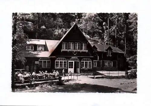 Foto Ak Uttewalder Grund Sächsische Schweiz Waldidylle 1963