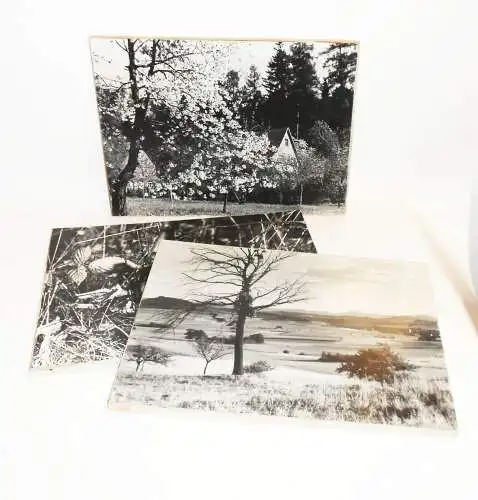 3 DDR Foto Drucke Prints Wandbilder Pilze Landschaft Obstblüte Umgebindehaus !