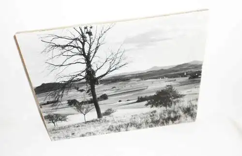 3 DDR Foto Drucke Prints Wandbilder Pilze Landschaft Obstblüte Umgebindehaus !