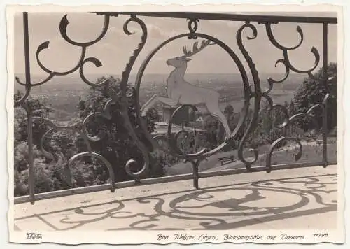 Ak Hahn 10798 Bad Weisser Hirsch Blombergblick auf Dresden 