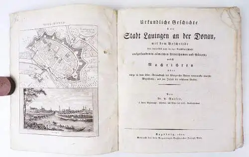 Urkundliche Geschichte der Stadt Lauingen an der Donau Raiser 1822 