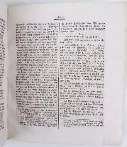 Urkundliche Geschichte der Stadt Lauingen an der Donau Raiser 1822 
