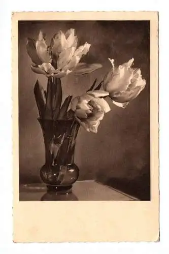 Foto Ak Blume Blumenvase 1937