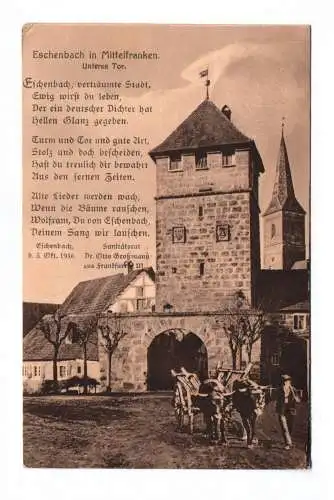 Ak Eschenbach in Mittelfranken Unteres Tor 1917