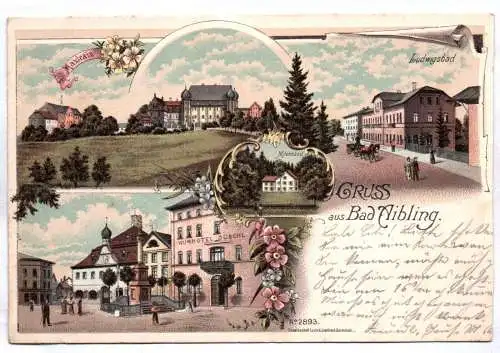 Litho Ak Gruss aus Bad Aibling Kurhotel Ludwigsbad um 1900 Rosenheim