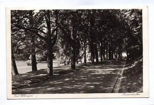 Ak Bad Wildungen Kurparkallee 1930