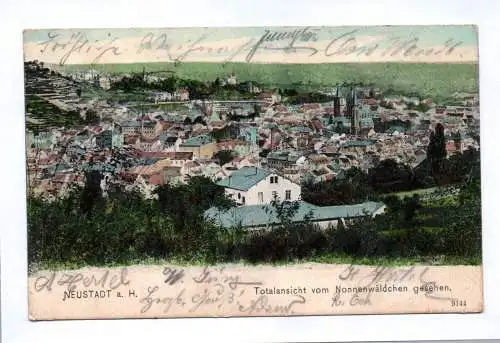 Ak Neustadt a. H. Totalansicht vom Nonnenwäldchen gesehen 1904