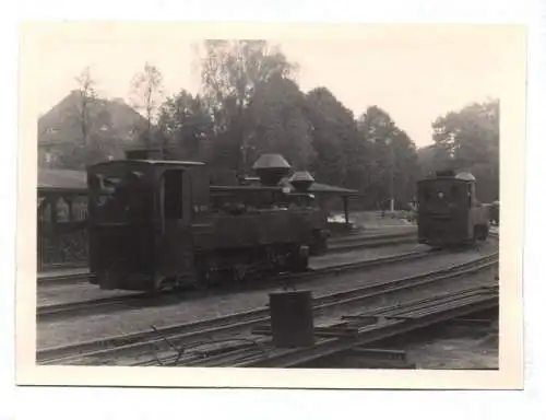 Foto Schmalspur Eisenbahn 99 3316 Muskau 1970