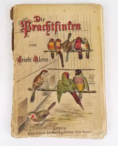 Die Prachtfinken von Friedrich Kloss 1896 Vögel Finken Buch