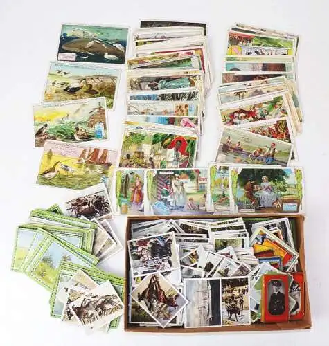 Konvolut alter Sammelbilder trading cards Hartwig Vogel Erdal Chlorodont 