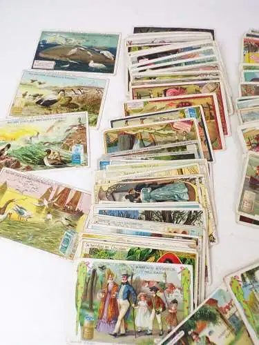 Konvolut alter Sammelbilder trading cards Hartwig Vogel Erdal Chlorodont 