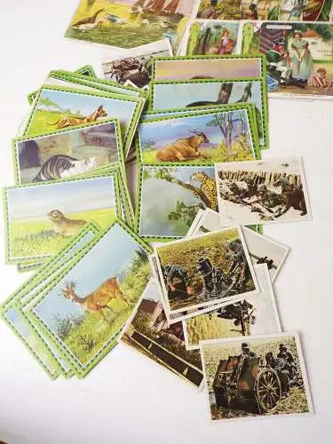 Konvolut alter Sammelbilder trading cards Hartwig Vogel Erdal Chlorodont