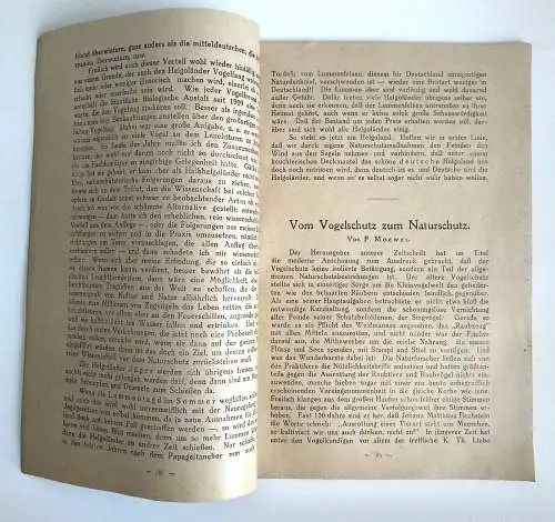 Zeitschrift für Vogelschutz 1920 Naturschutz 1. Heft
