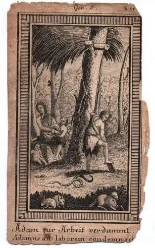 Altes Kupferstich Adam zur Arbeit verdammt um 1800 Bibel Eva Religion