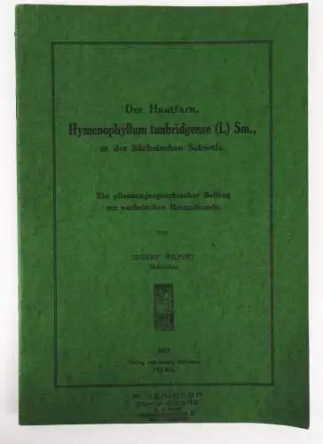Der Hautfarn in der Sächsischen Schweiz Flora Botanik 1937 Hubert Wilpert
