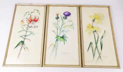 Aquarell Blumen Botanik Signiert 3 Stück Set Bilderrahmen