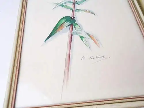 Aquarell Blumen Botanik Signiert 3 Stück Set Bilderrahmen