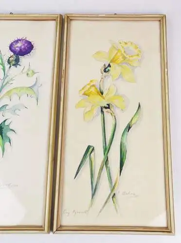 Aquarell Blumen Botanik Signiert 3 Stück Set Bilderrahmen