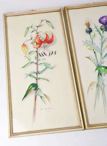 Aquarell Blumen Botanik Signiert 3 Stück Set Bilderrahmen